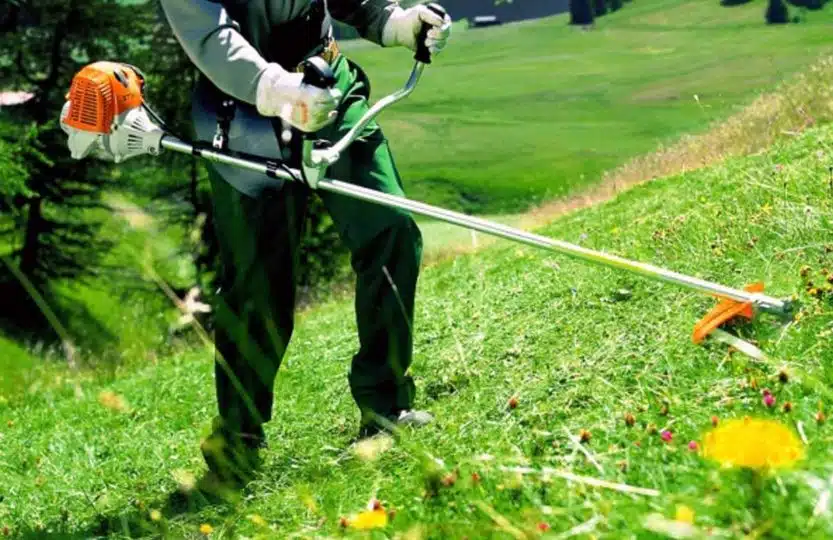 Comment choisir le bon rotofil ?